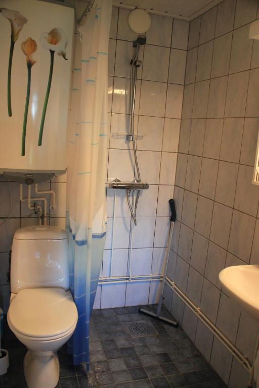 Hjortoe Stugor & Stockhus Finstrom 部屋 写真